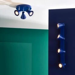 Elements Briggs 4 Light Adjustable Spotlight -Elements Outlet 30894865 alt09