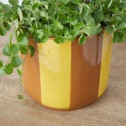 Elements Striped Ceramic Plant Pot 14 Elements Striped Ceramic Plant Pot -Elements Outlet 30943035 alt01