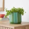 Elements Striped Ceramic Plant Pot 2 Elements Striped Ceramic Plant Pot -Elements Outlet 30943041