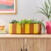 Elements Striped Ceramic Windowsill Plant Pot 2 Elements Striped Ceramic Windowsill Plant Pot -Elements Outlet 30943051